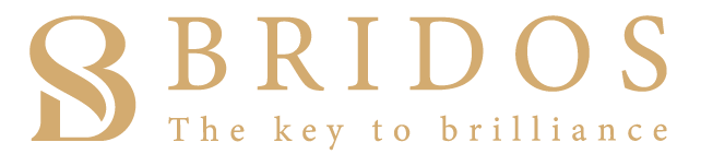 Bridos Solutions